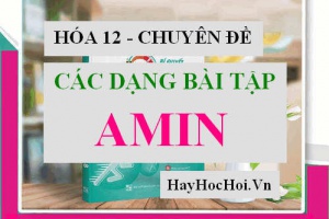 Các dạng bài tập về AMIN có lời giải - Hóa 12 chuyên đề